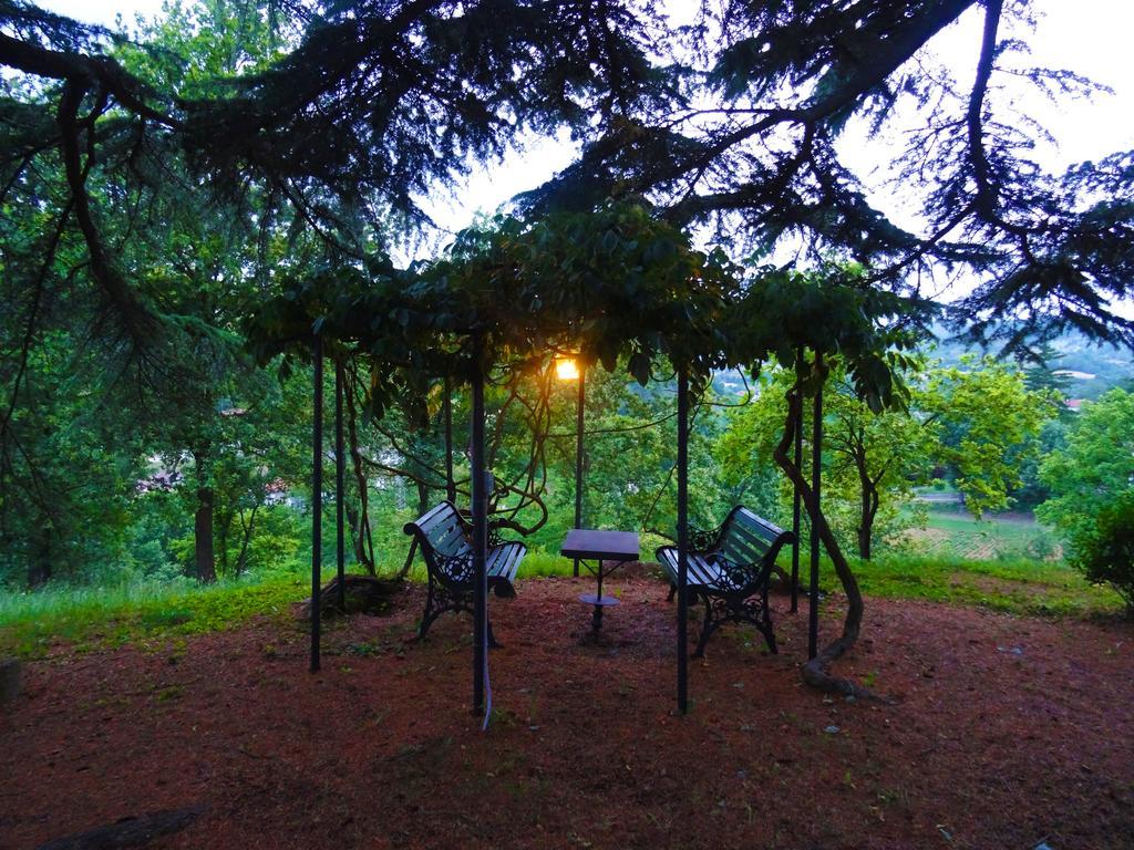 La Celestina Bed & Breakfast Piana Crixia Exterior foto